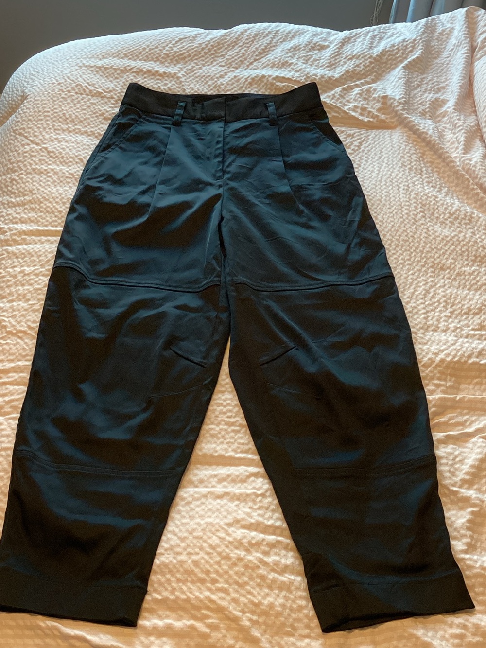 Babaton Black Tailored Pants with Exposed Zip
